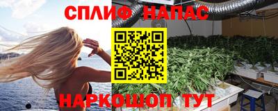 спиды Дубна